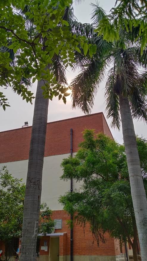 Delhi School of Economics, University of Delhi Campus Photos photo 13